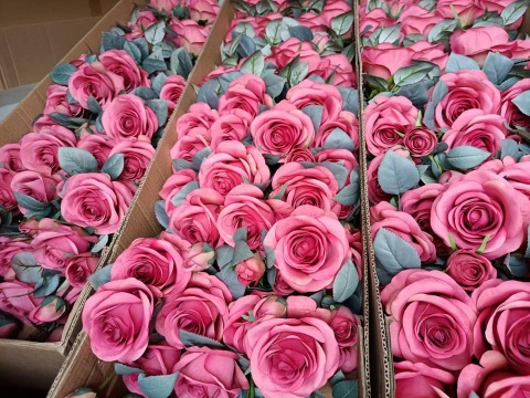 ดอกไม้ปลีกส่งทุกชนิด ดอกไม้ปลีกส่งทุกชนิด